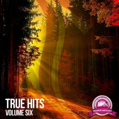 SUANDA TRUE: True Hits Vol 6 (2021) FLAC
