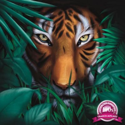 A Vision of Panorama - Unique Tiger (2021)