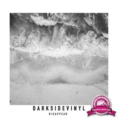 Darksidevinyl - Disappear (2021)