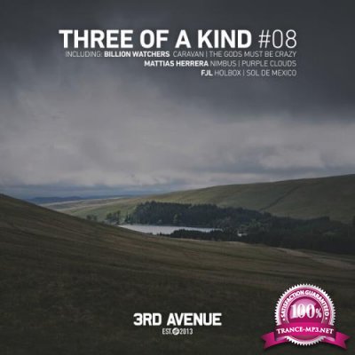 Three Of A Kind #08 (2021)