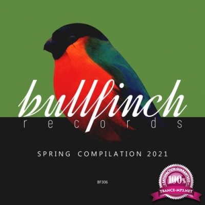 Bullfinch Spring 2021 Compilation (2021) FLAC