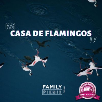 Casa De Flamingos IV (2021)