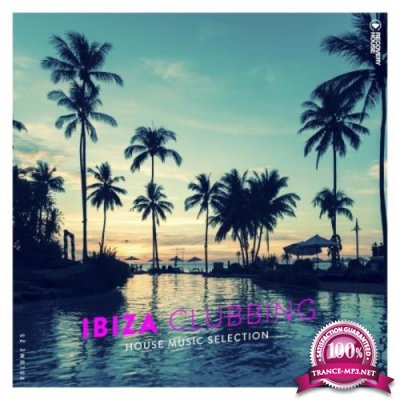Ibiza Clubbing Vol 25 (2021)
