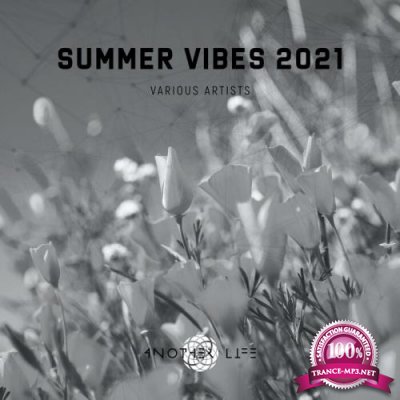 Another Life Music: Summer Vibes 2021 (2021)