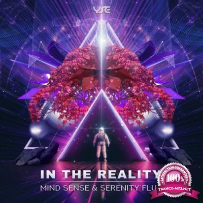 Mind Sense & Serenity Flux - In the Reality EP (2021)