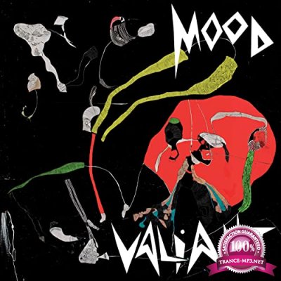 Hiatus Kaiyote - Mood Valiant (2021)
