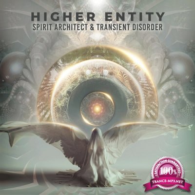 Spirit Architect & Transient Disorder - Higher Entity (Single) (2021)