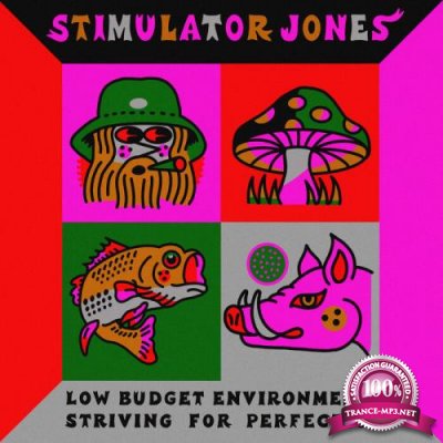 Stimulator Jones - Low Budget Environments Striving For Perfection (2021)