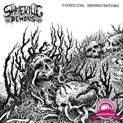 Shrieking Demons - Diabolical Regurgitations (2021)