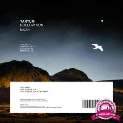 Tantum - Hollow Sun (2021)