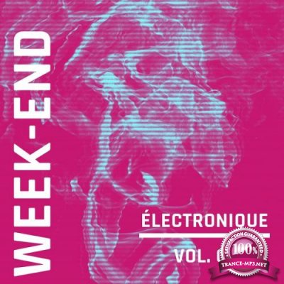 Week-End Electronique Vol. 3 (2021)