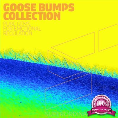 Goose Bumps Collection, Vol. 6 (2021)