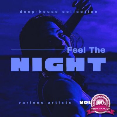 Feel The Night (Deep-House Collection), Vol 3 (2021)