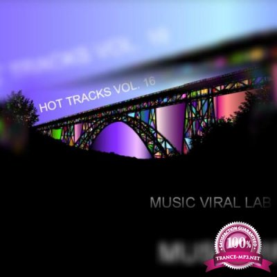 Hot Tracks Vol. 16 (2021)