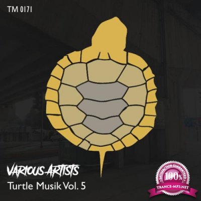 Turtle Musik Vol 5 (2021)