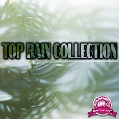 Top Rain Collection (2021)