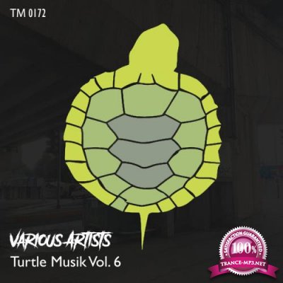 Turtle Musik Vol 6 (2021)