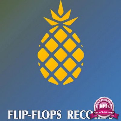 Flip-Flops - Implementation (2021)