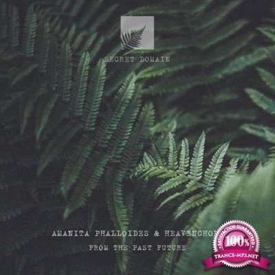 Amanita Phalloides & Heavenchord - From The Past Future (2021)