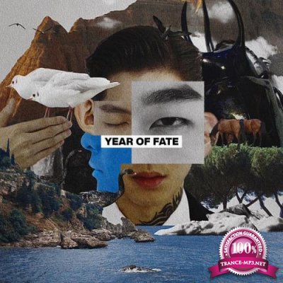 Fool And Idiot - Year of Fate (2021)
