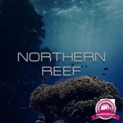Subchord - Northern Reef (2021)