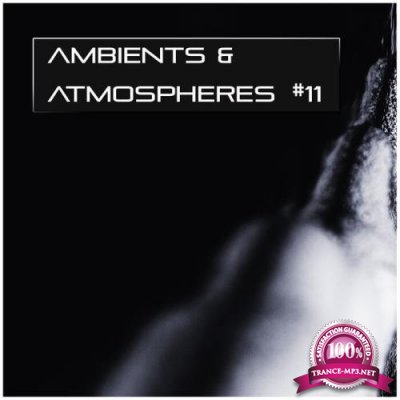 Ambients & Atmospheres, Vol 11 (2021)