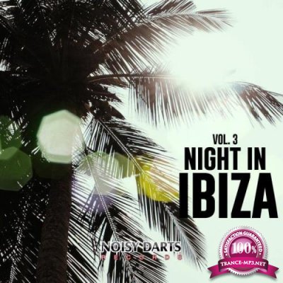 Night In Ibiza, Vol. 3 (2021)