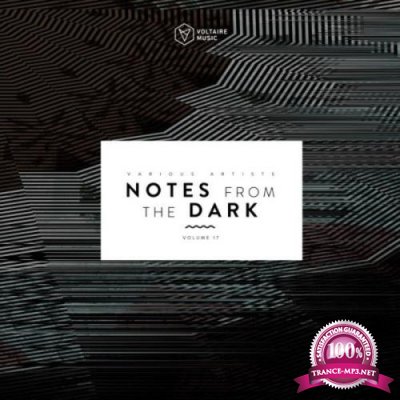 Notes From The Dark, Vol. 17 (2021)
