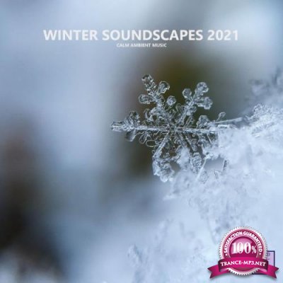 Winter Soundscapes 2021 (Calm Ambient Music) (2021)
