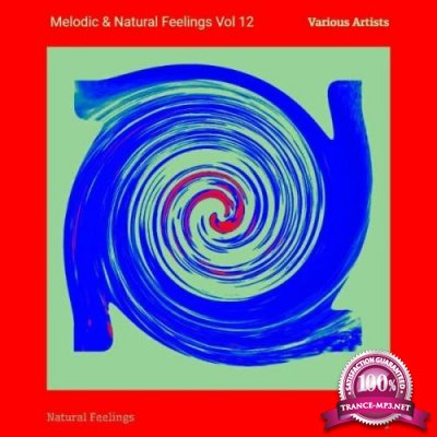 Melodic & Natural Feelings Vol 12 (2021)