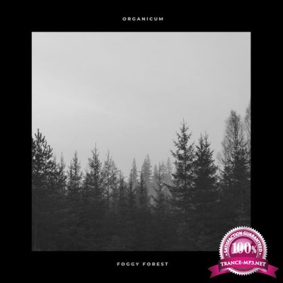 Organicum - Foggy Forest (2021)