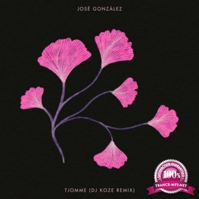 Jose Gonzalez - Tjomme (DJ Koze Remix) (2021)