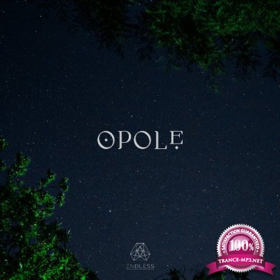 Opole - Gilded Not Golden (2021)