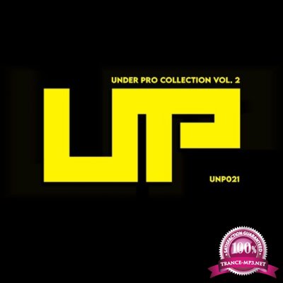 Under Pro Collection, Vol. 2 (2021)