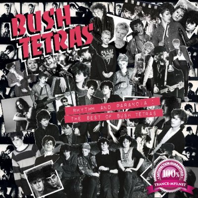 Bush Tetras - Rhythm and Paranoia: The Best of Bush Tetras (2021)