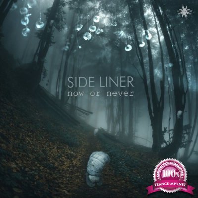 Side Liner - Now Or Never (2021)