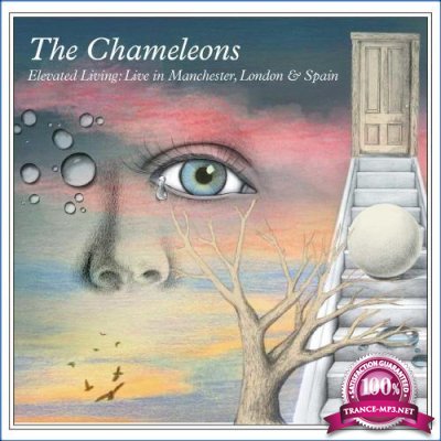 The Chameleons - Elevated Living: Live In Manchester, London & Spain (2021)