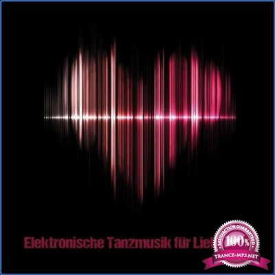 Elektronische Tanzmusik fur Liebhaber (2021)