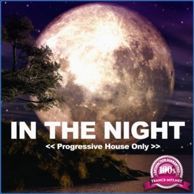 In the Night (Progressive House Only) (2021)