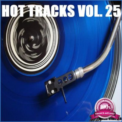 MUSIC VIRAL LAB - Hot Tracks Vol. 25 (2021)