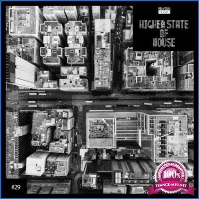 Higher State of House, Vol. 29 (2021)