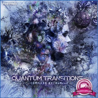 Quantum Transition Vol.2 (2021)