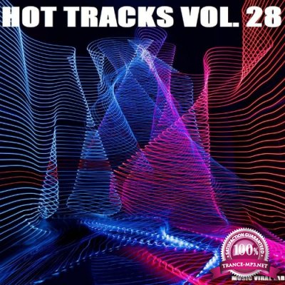 Hot Tracks Vol. 28 (2021)