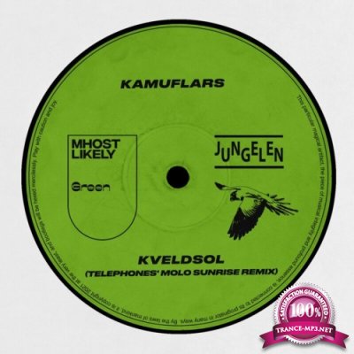 Kamuflars - Kveldsol (Telephones'' MOLO Sunrise Remix) (2021)