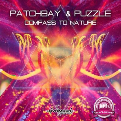 Patchbay & Puzzle - Compass To Nature (2021)