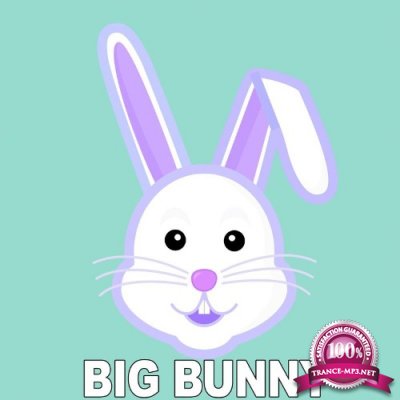 Big Bunny - Fraction (2021)
