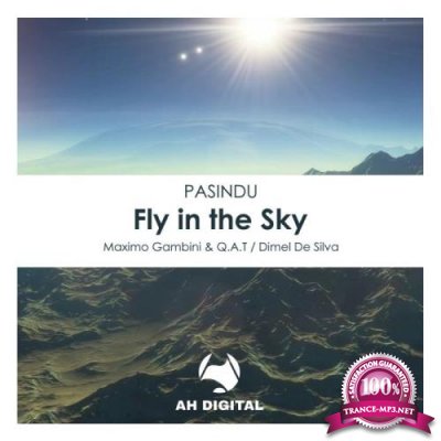 Pasindu - Fly In The Sky (2021)