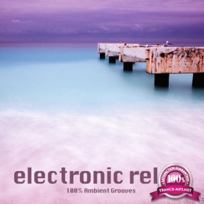 Electronic Relax (100% Ambient Grooves) (2021)