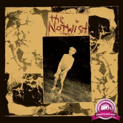 The Notwist - The Notwist (2021)