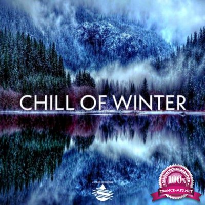 Wetsuit Recordings - Chill Of Winter (2021)